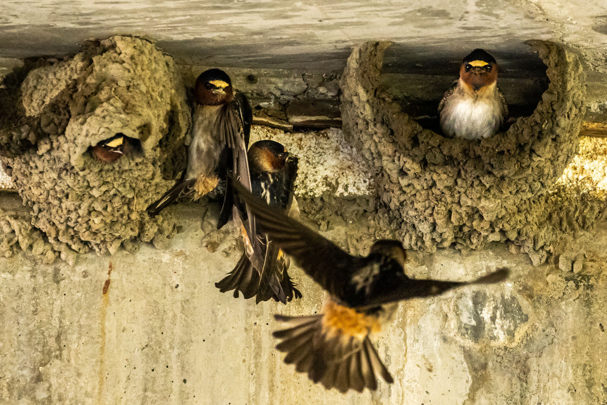 Photos: Faces and Places, June 6